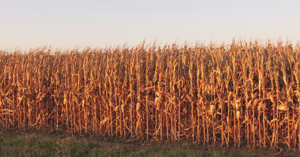 TV in My Ear Vol. 1: Gotta Break Up The Band&nbsp;Now